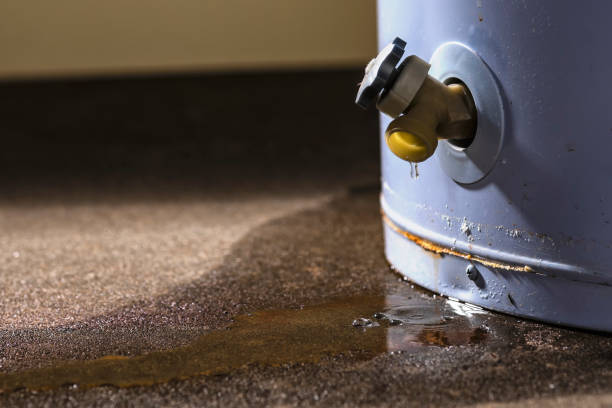 Best Water damage restoration near me  in Lyons, NJ