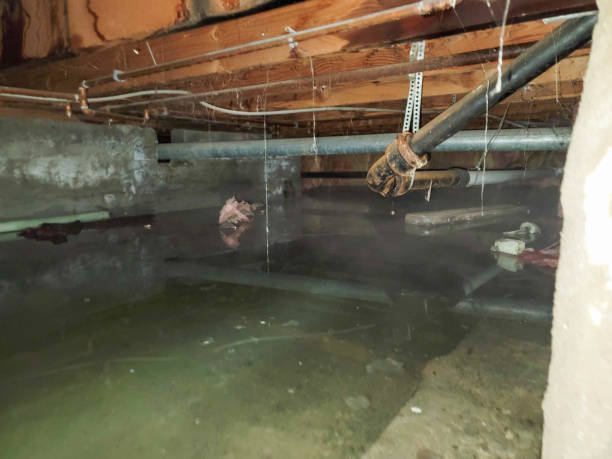 Best Sewage cleanup and water damage restoration  in Lyons, NJ