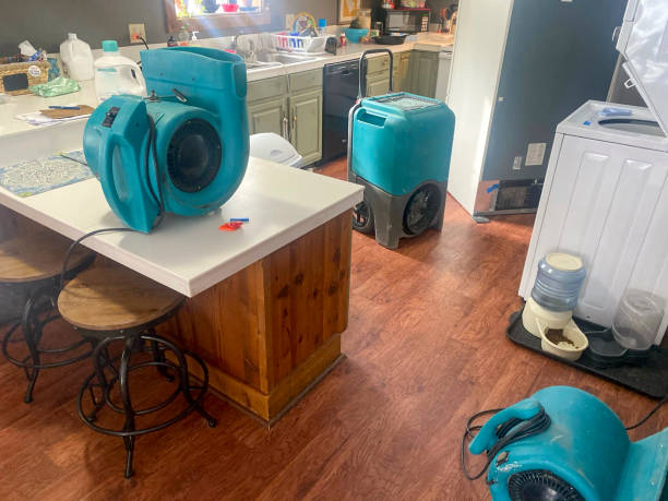 Water damage restoration insurance claims in NJ