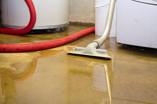 Best Emergency water damage restoration  in Lyons, NJ