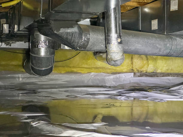 Best 24-hour water damage restoration  in Lyons, NJ