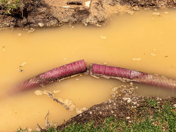 Best Flood damage cleanup  in Lyons, NJ