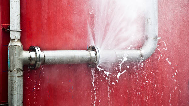 Best Flood restoration services  in Lyons, NJ